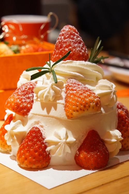 在什么地方的故事作文500